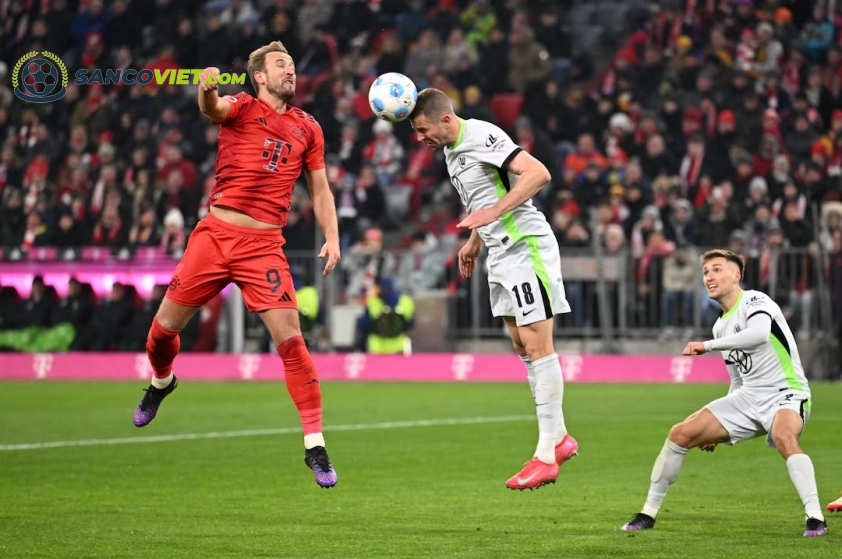 Dự Đoán Kết Quả Trận Đấu Wolfsburg vs Holstein Kiel: Nguy Cơ Gặp Khó, Lúc 2h30 Sáng 25/01/2025